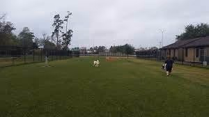 Ida Reed Dog Park photo 1